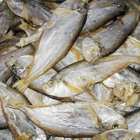 Faisha Dry Fish- ফাইস্যা শুঁটকি