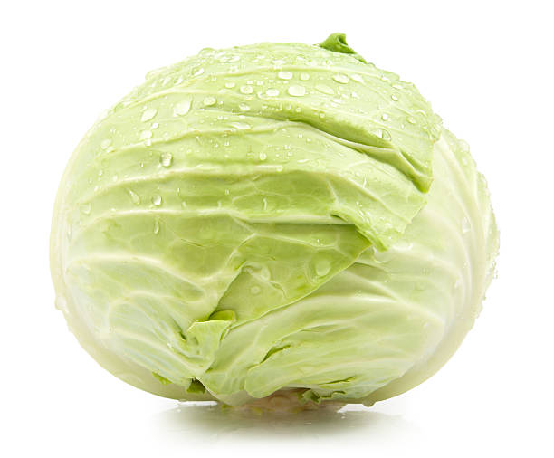 Cabbage