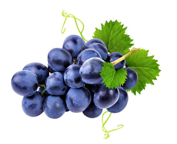 Grapes